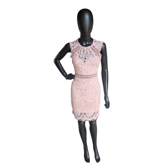 Pink Lace Illusion Sheath Dress - Picture 2 of 8